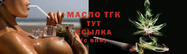 МДПВ Туринск