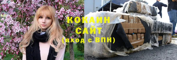 прущие грибы Наволоки