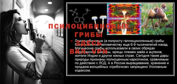 дмт Надым