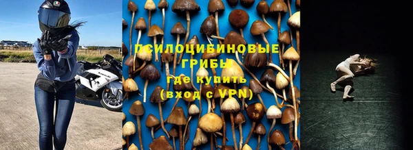 скорость Нея